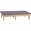 Clinton Upholstered Mat Tables / Exercise Tables