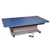 Clinton Heavy-Duty Electric Hi-Lo Mat Platforms / Exercise Tables