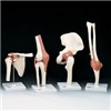 Functional Joints
