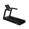 SportsArt T674L Elite Eco-Natural Commercial Treadmill